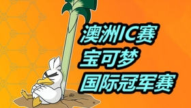 2025年新澳正版免费料全面释义、解释与落实-警惕虚假宣传-全面释义、解释与落实